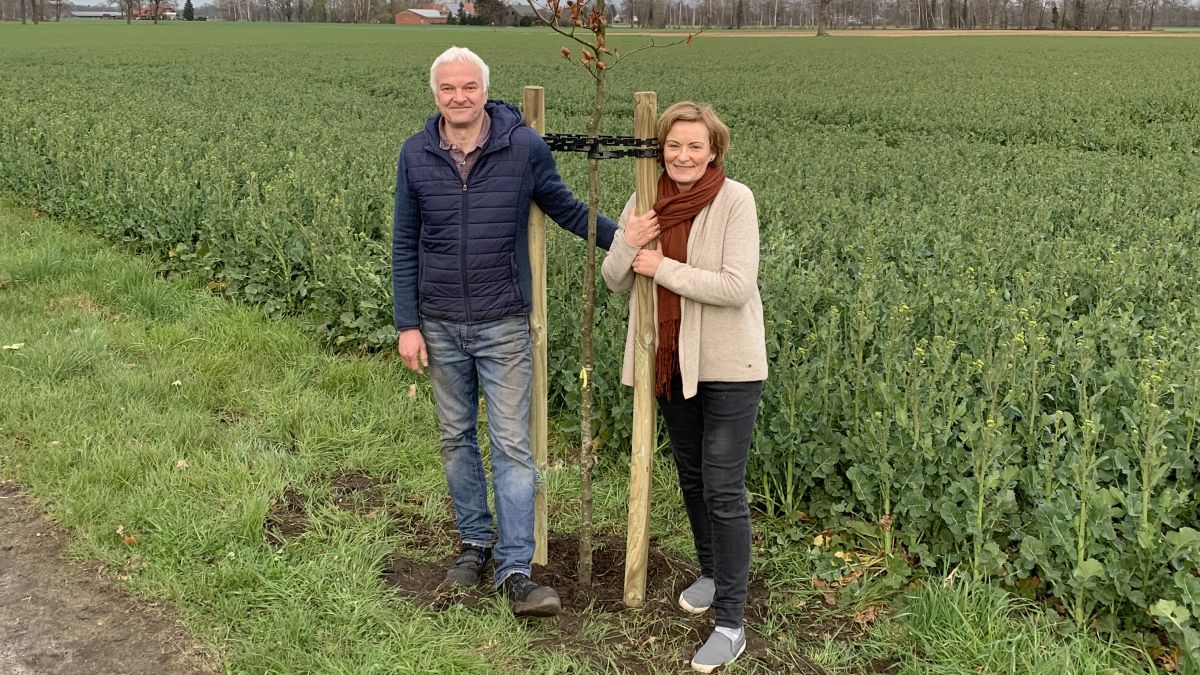 Anja und Heinz-Hermann Kolkhorst haben die „Patenschaft“ für fünf Rotbuchen an der Bremer Straße übernommen.